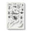 Study Of Insects Xxxviii by Oliver Goldsmith - Wrapped Canvas-55342077