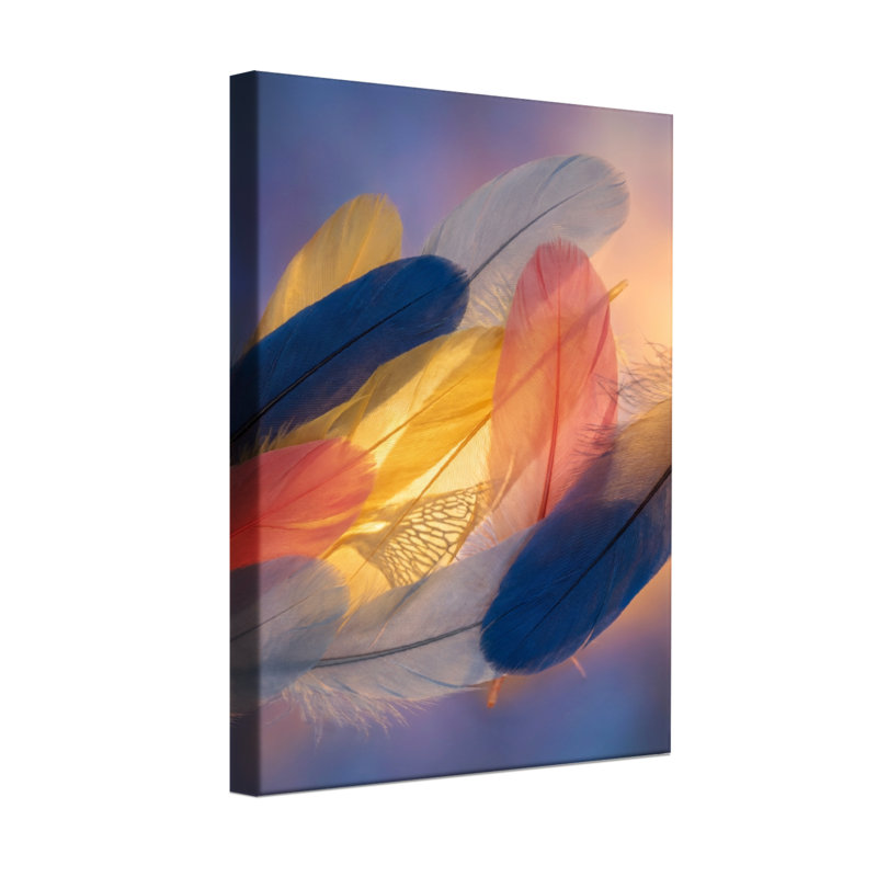 Plantes et fleurs, plumes colorées doucement superposées dans une lumière chaude, H 24 po x l 16 po