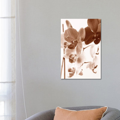 Dreamy Orchids I by Ily Szilagyi - Wrapped Canvas Print