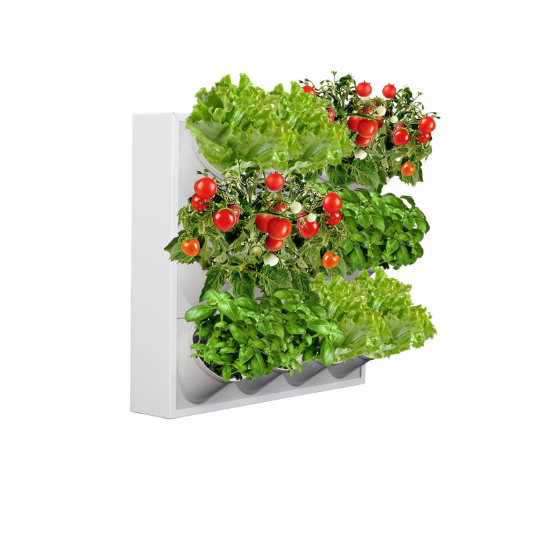 Chet Vertical Garden, White, 39cm H x 42cm W x 8cm D