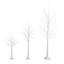4Ft. 6Ft. 8Ft. Pre-Lit Artificial White Birch Trees With LED Lights - Set Of 3