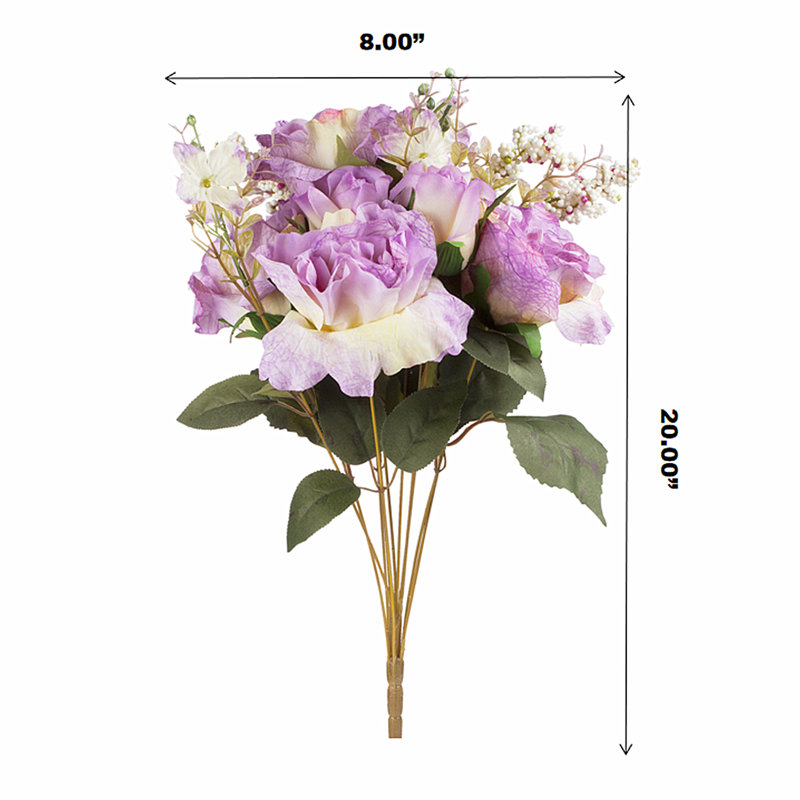 Rosier, Mauve