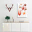 Selection Of Starfish by Albert I - Wrapped Canvas-55318474