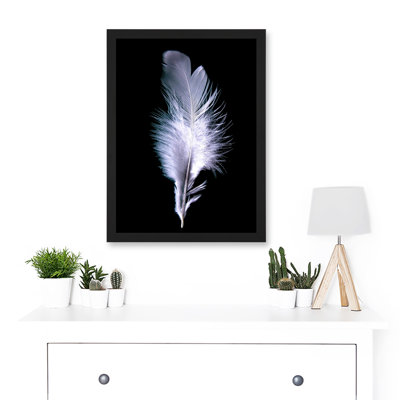Black White Single Feather Bird - Single Picture Frame Art Prints