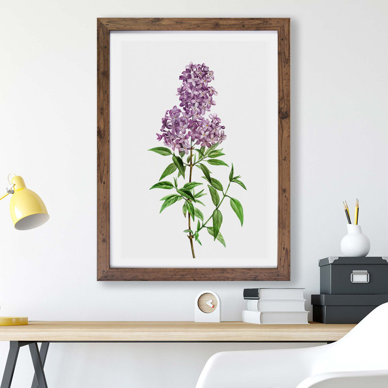 Persian Lilac Flowers by Pierre-Joseph Redoute - Framed Print, Walnut, 33cm H x 45cm W x 2cm D
