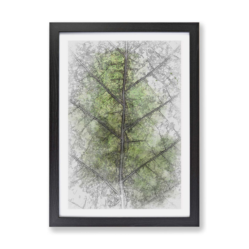 Leaf Lines - Framed Print, Black, 33cm H x 45cm W x 2cm D