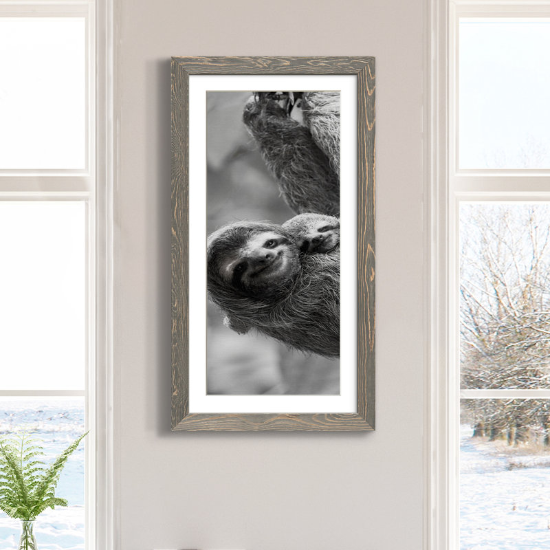 «Sloth Swing», reproduction sur toile encadrée, Gris