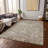 Machine Washable Indoor/Outdoor Xhevrie Taupe Rug-650699912