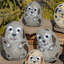 Ensemble de 3 figurines Selzer-1304220820