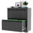 2 Drawer Lateral File Cabinet with Lock - Home Office Storage for Letter/Legal/F4/A4 Hanging Files - Requires Assembly-108868211