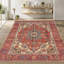 Serapi Hand-Knotted Rust Lamb's Wool Area Rug-1114329118