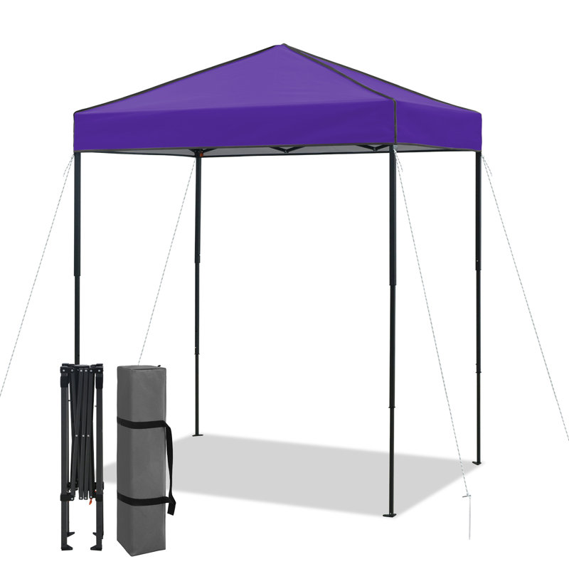 6x4 Canopy Tent, Heavy Duty Pop up Canopy with Carry Bag, Purple