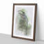 Green Hermit Hummingbird in Abstract - Picture Frame Graphic Art Print-55736277-55736279
