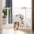 Durer Pet Gate