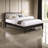 Moscaritolo Wood Platform Bed-443261768-443261769