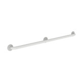 Astor 42" Grab Bar