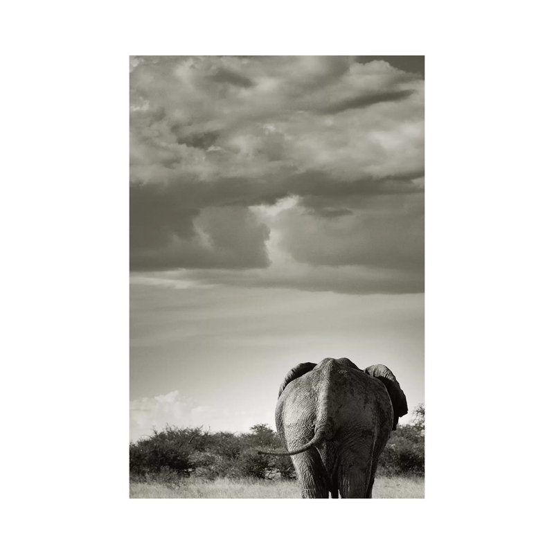 B&W Returning Elephant 1 Piece Wrapped Canvas Wall Art, 101.6 cm H x 66.04 cm W x 1.91 cm D