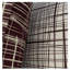 Woodvale Indoor / Outdoor Square Throw Cushion Cover-1549570120