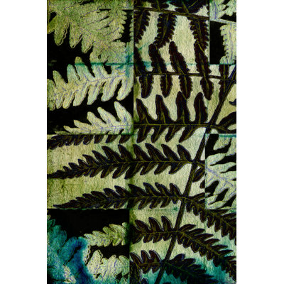 Midnight Ferns II - Wrapped Canvas Print