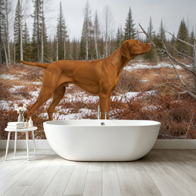 Peel and Stick Wallpaper Wall Mural vizsla dog nature vizsla pictures Wall Art Self Adhesive and Removable