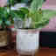 Photos des clients 1 de 2