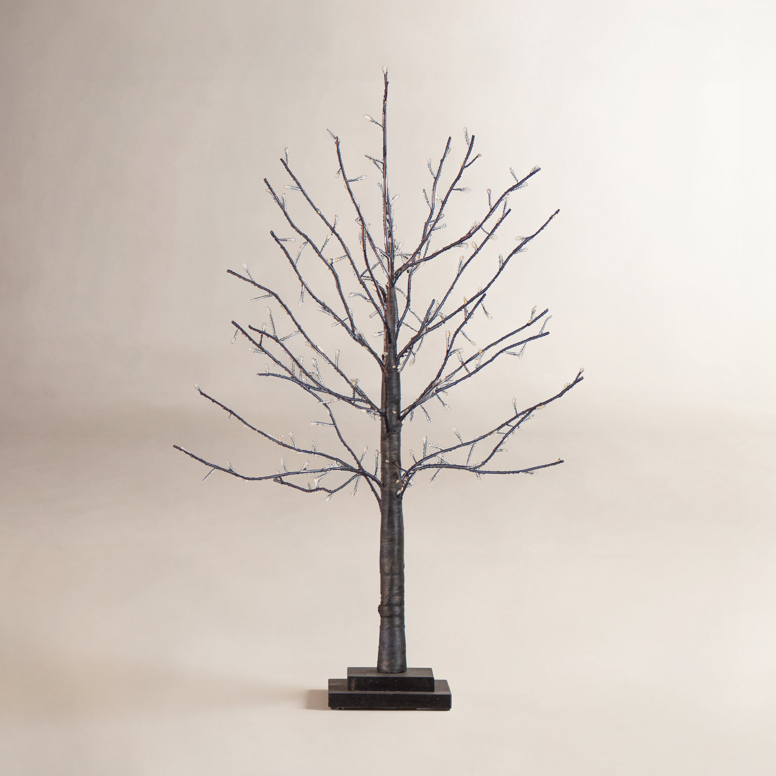 2' Pre-Lit Halloween Black Twig Tree