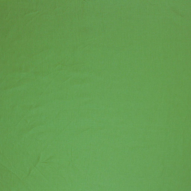 Bruges Linen Fabric, Fern