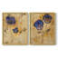 FLORAL Series XXXIV - reproduction encadrée de qualité supérieure - prête à être accrochée - aucun clou requis - aucun clou requis-805611237-805611239