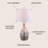 Crewe Shell Table Lamp