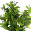 Laurel Leaf And Berry Arrangement