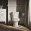 WellworthÂ® 1.28 GPF Water Efficient Elongated Two-Piece Toilet-760633246-737832173
