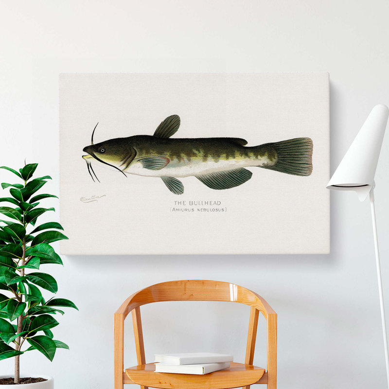 Bullhead Fish by Sherman F. Denton - Wrapped Canvas Painting, 50cm H x 76cm W x 3cm D