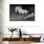 Cheval andalou Brampt-107877163