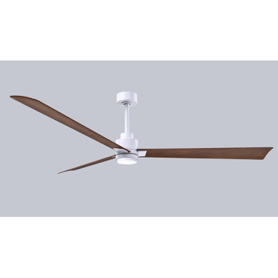 Alessandra Ceiling Fan