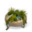 Plant in Concrete Pot