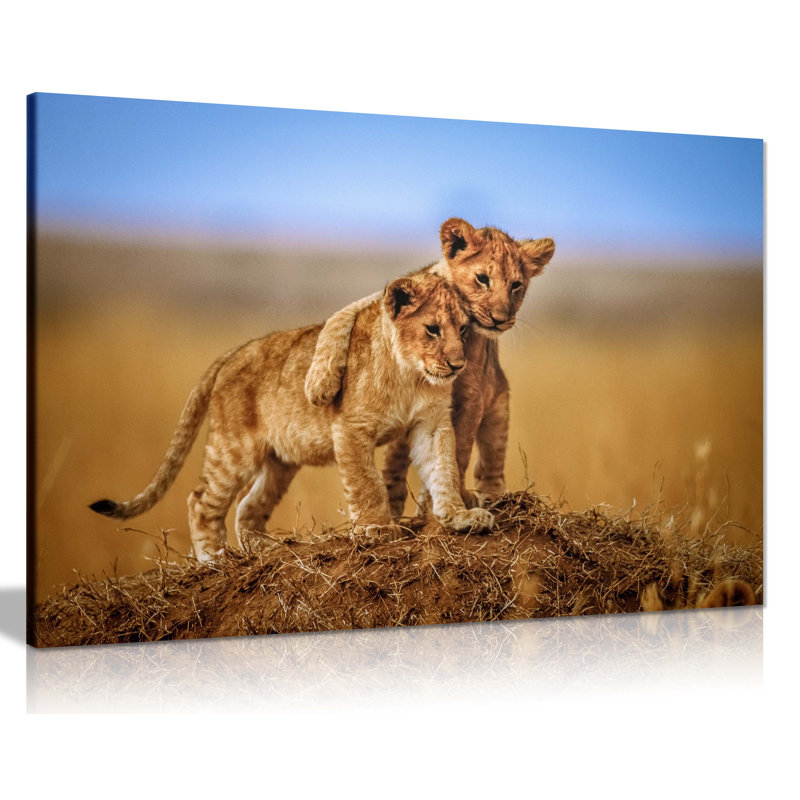 Lions Friendship Hug African Safari - Wrapped Canvas Print, 41cm H x 61cm W