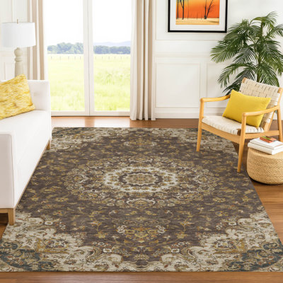 Machine Washable Indoor/Outdoor Chantille ACN2543 Global Rug