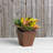 Alaunah Pot Planter-840690750-840690747