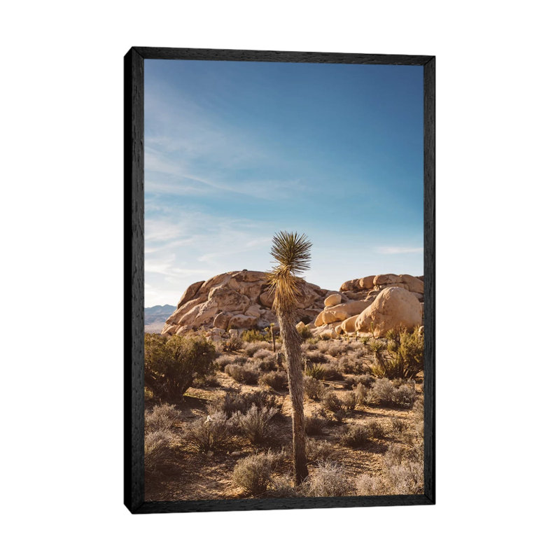 Joshua Tree National Park XVII by Bethany Young - Print on Canvas, 66.04cm H x 45.72cm W x 3.81cm D, Black Framed
