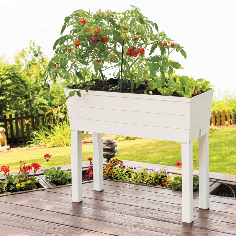 City Pickers High-Rise Elevated Garden Bed, White