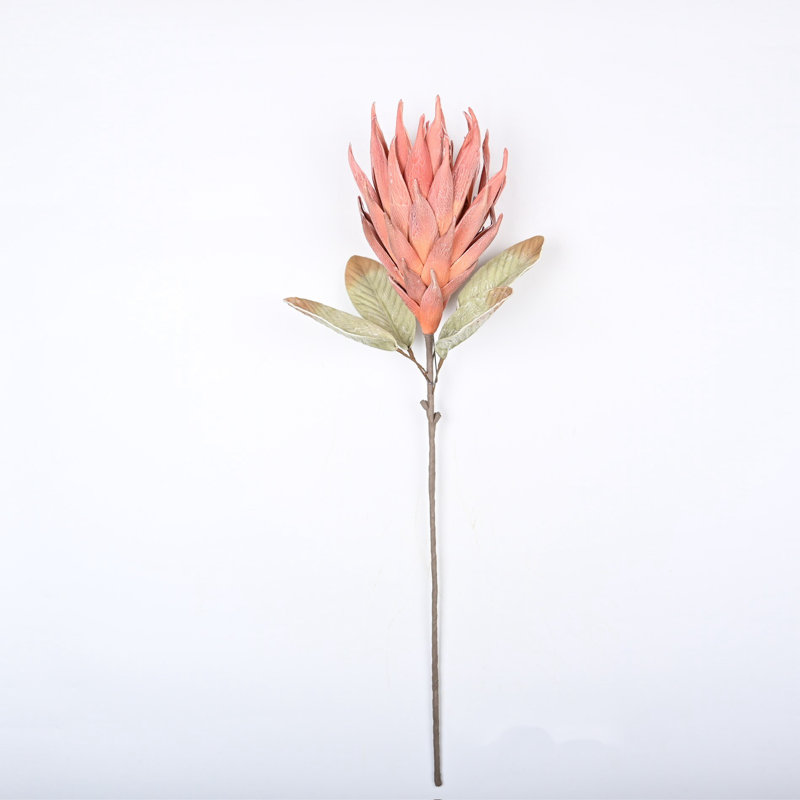 Protea Cynaroides, arrangement floral, longue tige, Rouge