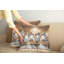 Ensemble de 2 housses de coussin pour chat Ambesonne brun pastel et gris pâle 18 po x 18 po-99020524-99020526