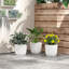 Pot Planter-1092481239-1092481236