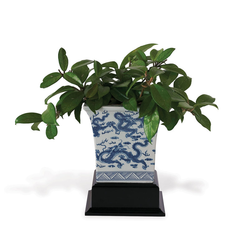 Dragon Planter