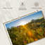 Harnek Cactus Desert Garden-107853985