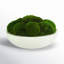 Preserved Moss Plant in Planter-726778884