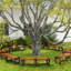 Banc de jardin en bois Berneda Outsunny-112891083
