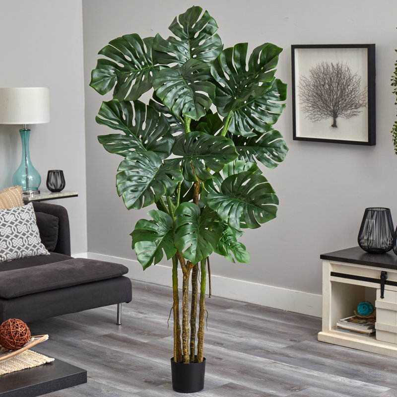 Tree in Pot Liner