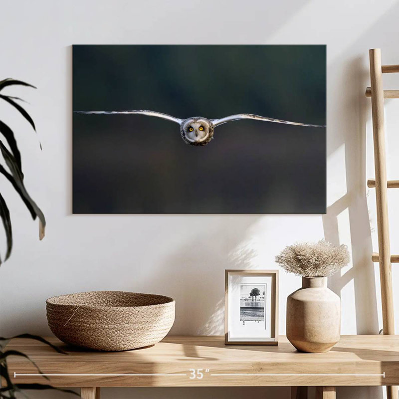 Brampt Owl Mid Air, 16" H x 24" W