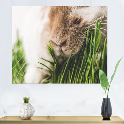 Gros plan sur un nez de lapin et des tiges d'herbe verte - peinture sur toile